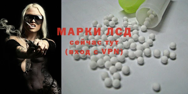 гидра Липки