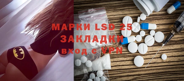 PSILOCYBIN Алзамай