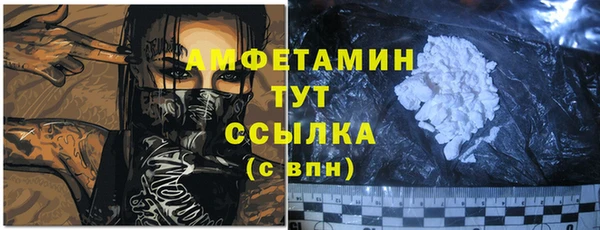 PSILOCYBIN Алзамай