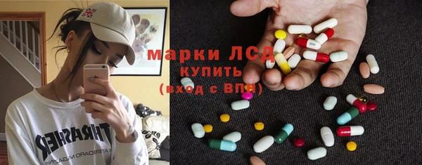PSILOCYBIN Алзамай
